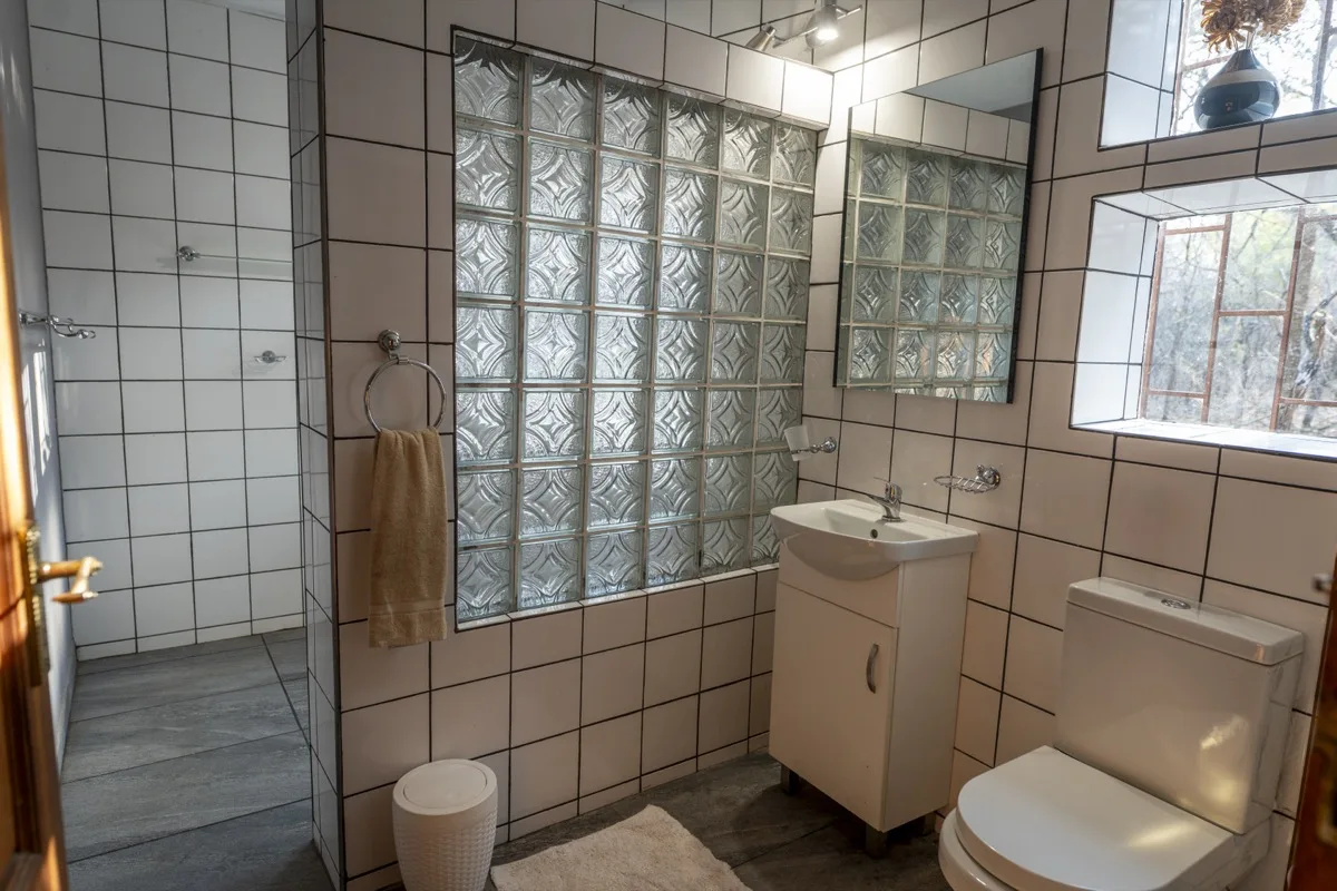 Ground floor bathroom with walk-in shower